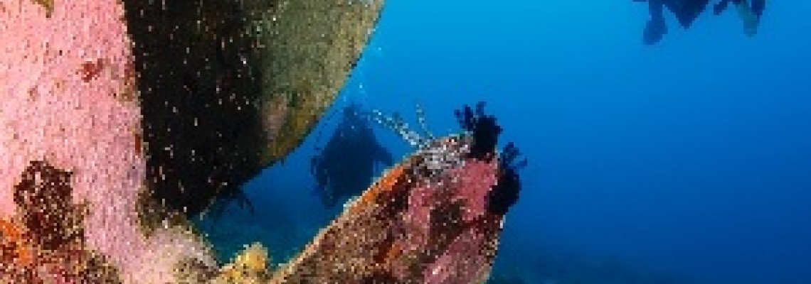 SS Thistlegorm one of the best wreck dive sites in the world.